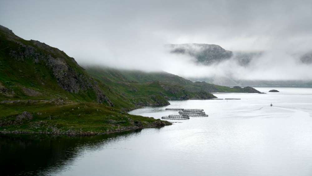 Salmon pens beneath a fog-shrouded coastal cliff