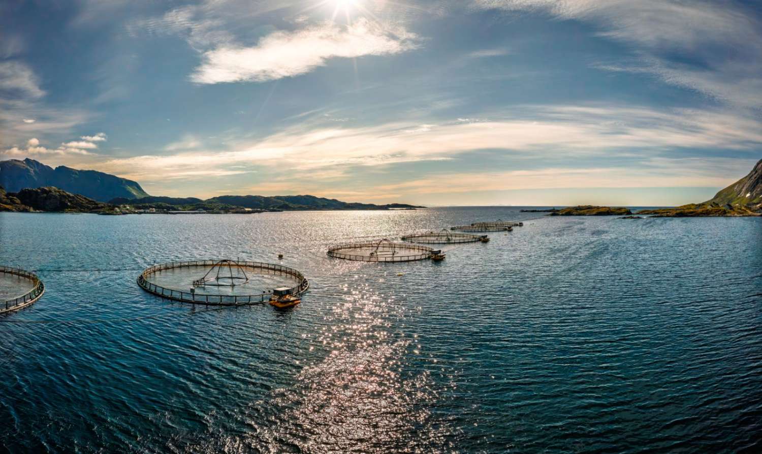 Salmon pens in a sunlit Norwegian fjord
