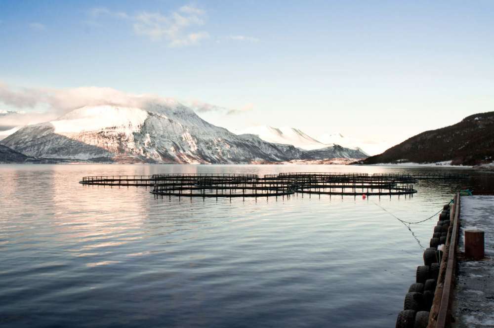 Salmon pens in a winter fjord